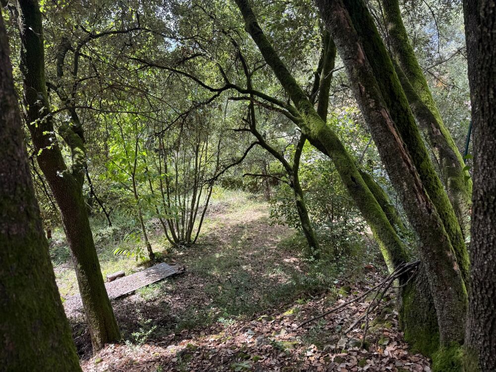 Vente Terrain Terrain à bâtir à vendre 799,00 m² CENDRAS (30)proche d'Ales Cendras