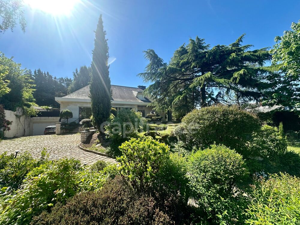 à vendre  Propriété/château Saumur (49400)