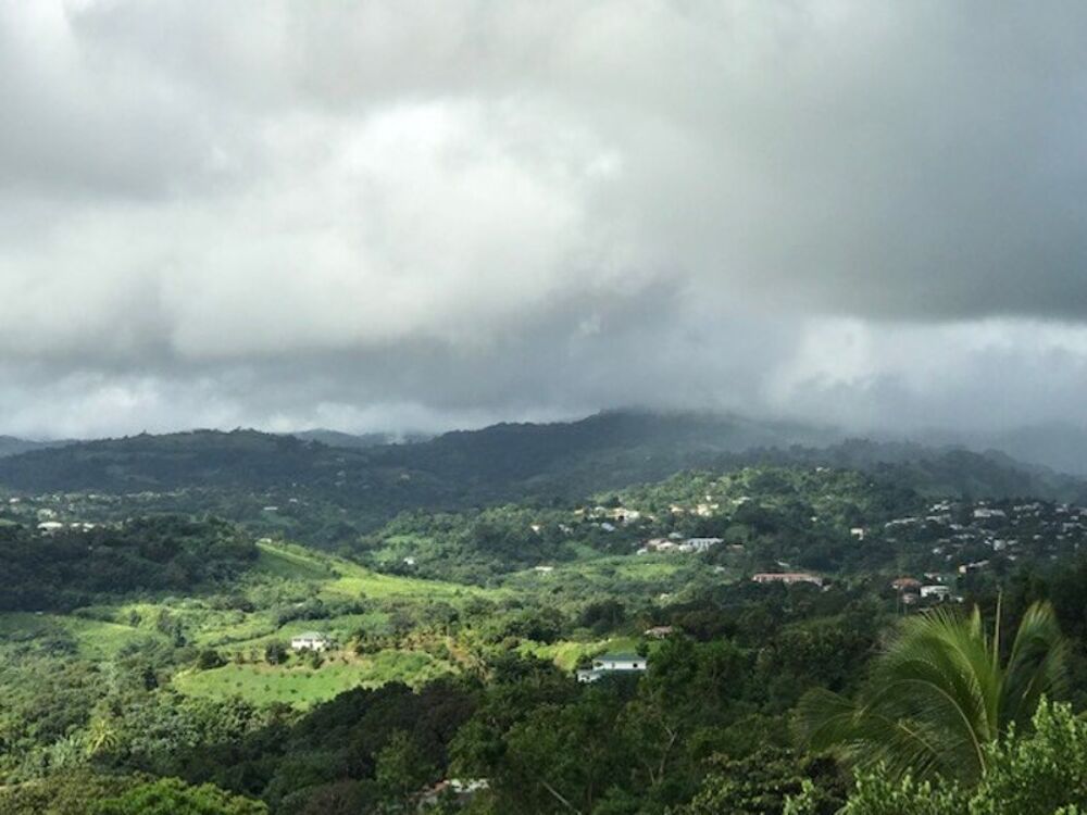 Vente Terrain Dpt Martinique (972), à vendre LA TRINITE terrain de 940 m² La trinite