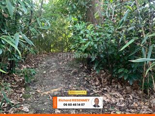  Chalet � vendre 1 pi�ce 30 m�