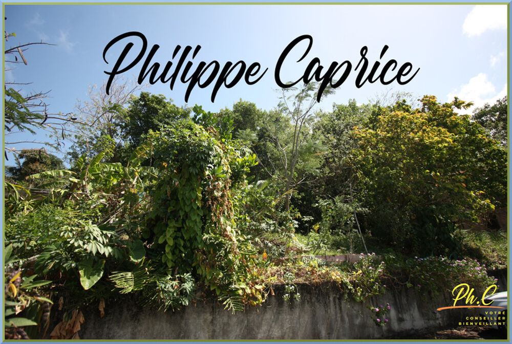 Vente Terrain Dpt Martinique (972), à vendre LE FRANCOIS terrain Le francois