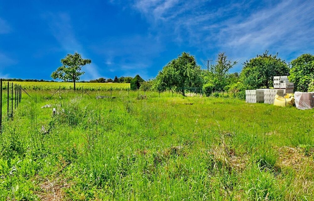Vente Maison LONGÈRE DE CHARME DE 123M2 À RÉNOVER , VUE DEGAGEE – POTENTIEL GÎTE TOURISTIQUE Saint sulpice de cognac