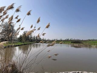  Maison � vendre 3 pi�ces 87 m�