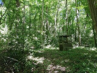  Terrain � vendre 8000 m�