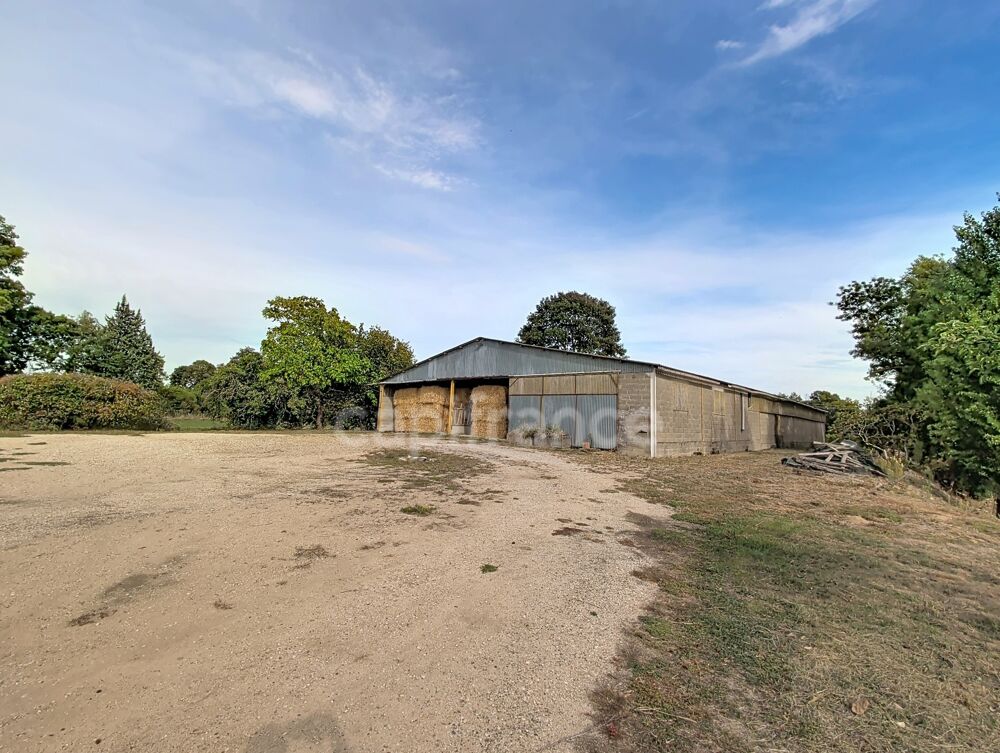 Vente Maison Frontenard (71) Propriété de caractère - Potentiel exceptionnel :  Habitation / Gîte 173 m² + 1 400 m² de dépendances et hangars Frontenard