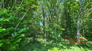  Terrain à vendre 45519 m²