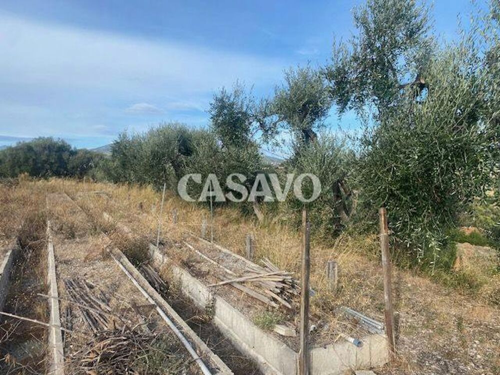 Vente Terrain Terrain plat à bâtir Nice secteur Crémat Nice