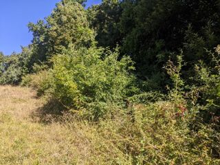  Terrain à vendre 3025 m²