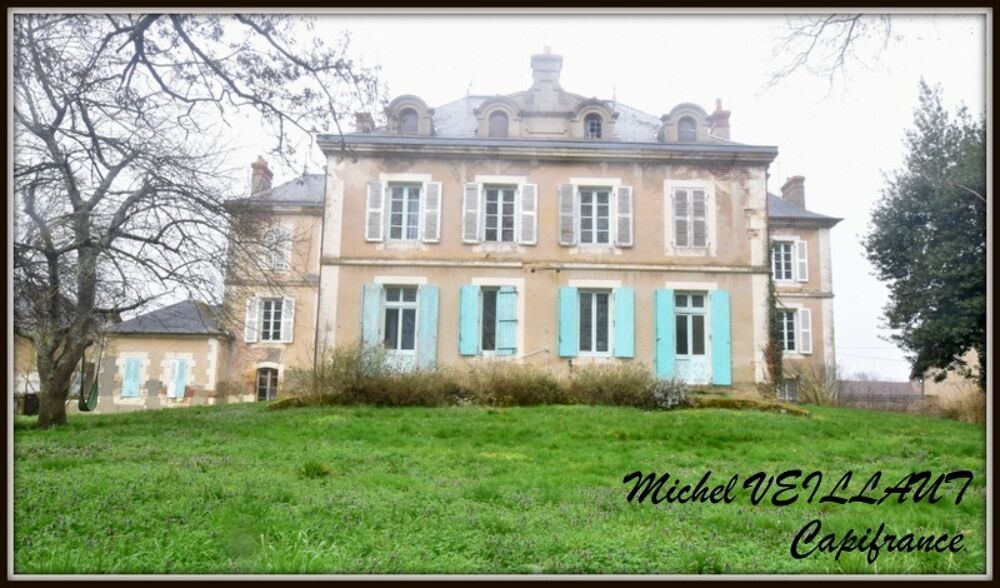 Propriété à vendre avec bâtisse de 15 pièces, 2 gîtes, terrain 7390 m², VILLENEUVE SUR ALLIER (03)