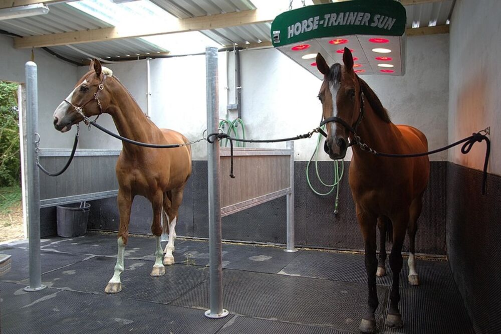 � vendre  Propri�t�/ch�teau Sancerre (18300)