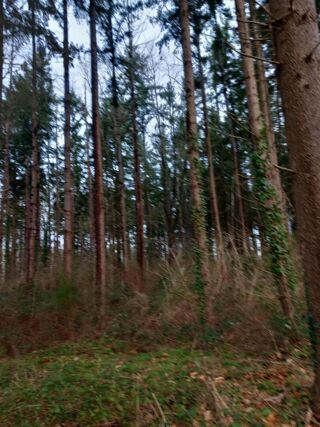  Terrain � vendre 31200 m�