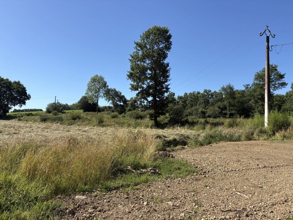 Vente Terrain Proche Orthez (64) - À VENDRE - Terrain constructible de 1,4ha idéal promoteur ou lotisseur Orthez
