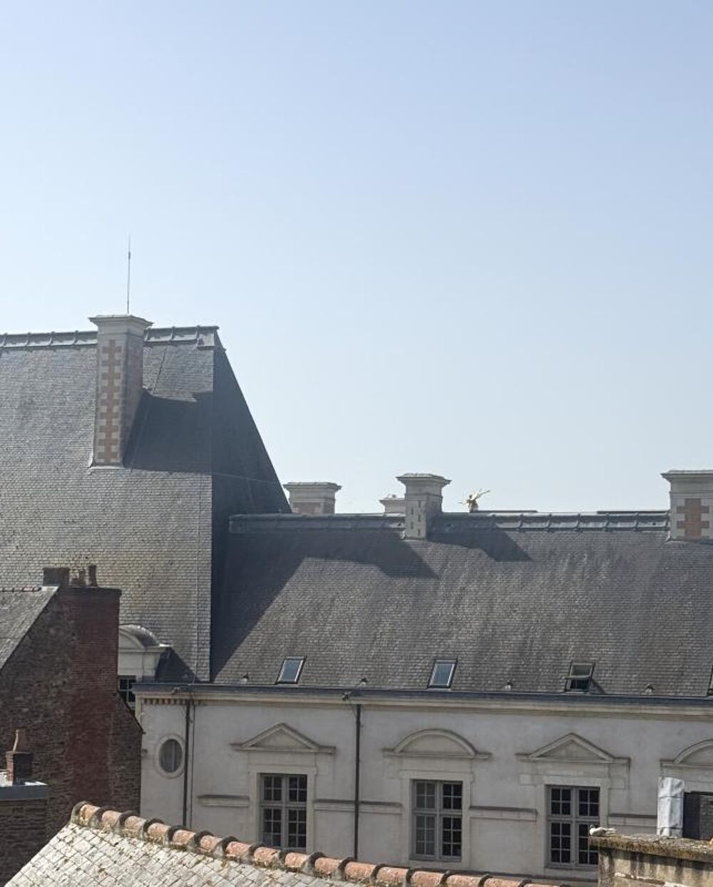 Vente Appartement Appartement Rennes