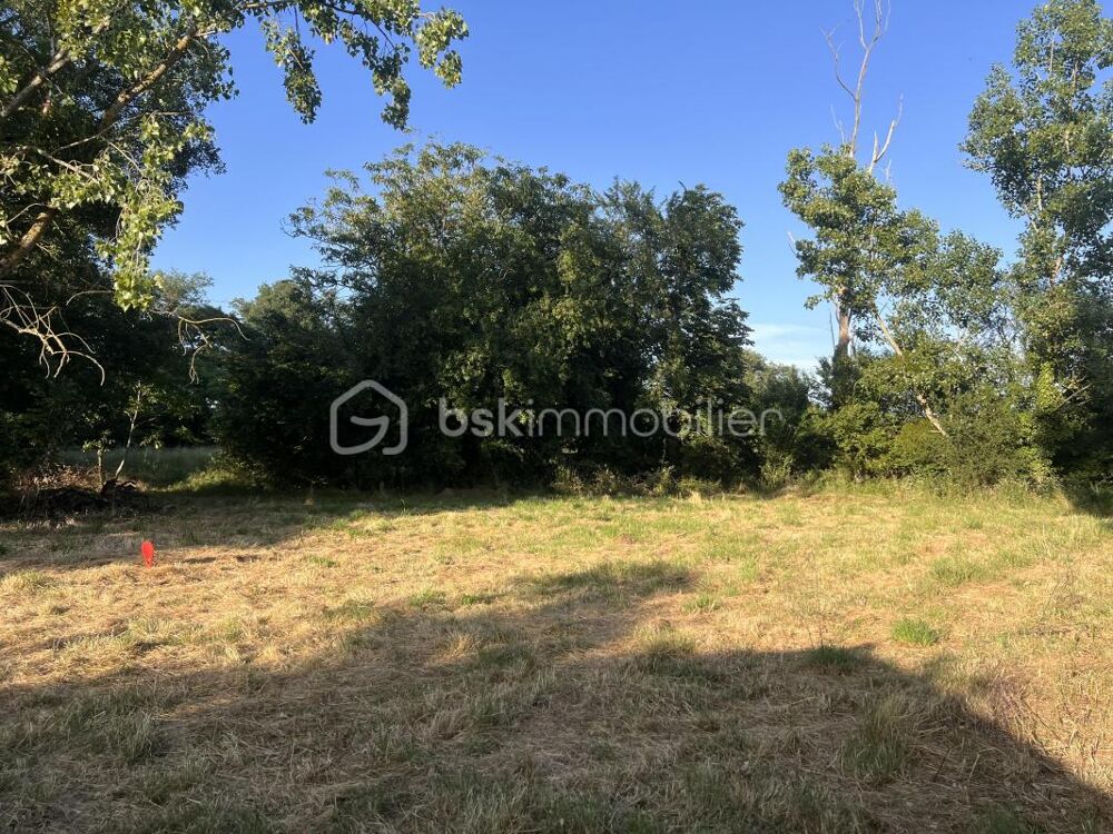 Vente Terrain Terrain de 945m2 sur la commune de Tercé Terce