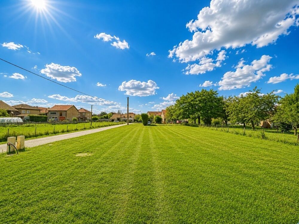 Vente Terrain Terrain 1916 m² viabilisé – divisible – à 3 km de Lorraine TGV Metz