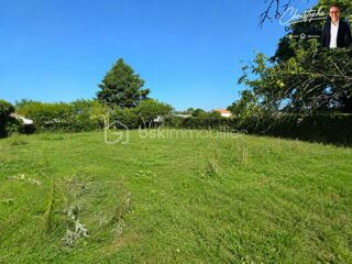 Vente Terrain ? EXCLUSIVITÉ – TERRAIN CONSTRUCTIBLE 600 m² – SAINT-MARTIN-DES-NOYERS ? Saint martin des noyers