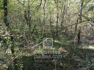  Terrain à vendre 4515 m²