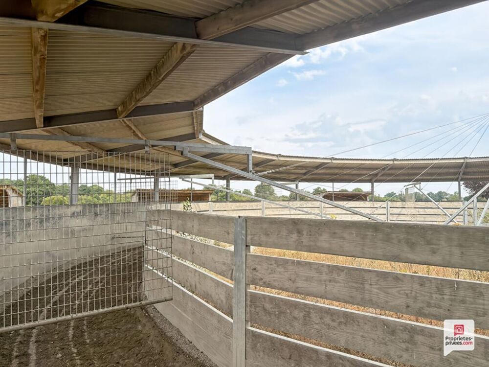 Vente Maison Propriété equestre Erdre En Anjou 7 pièce(s) 169 m2 Erdre en anjou