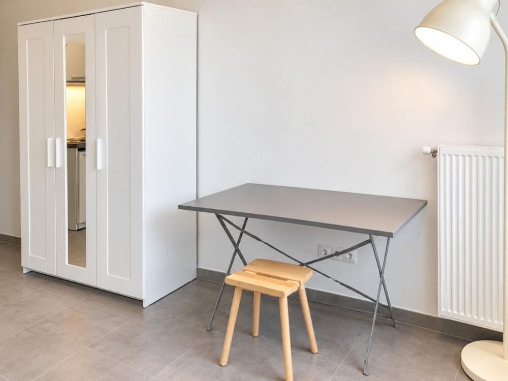 Location Appartement T1 Meublé à ECULLY Ecully