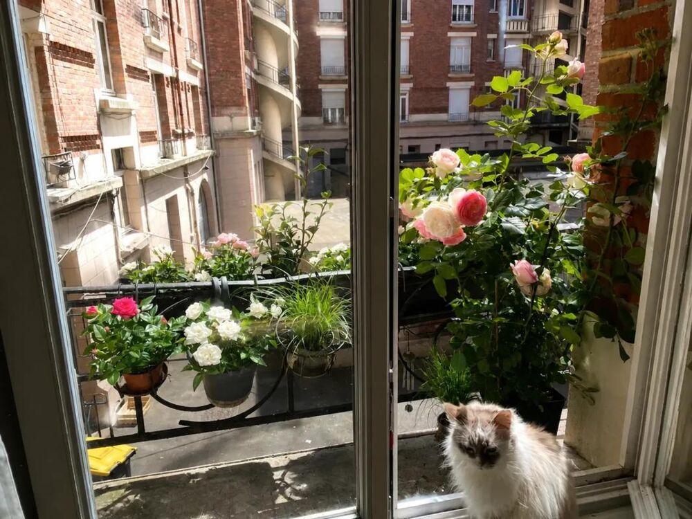 Appartement T2 bis de 54 m² à La Madeleine