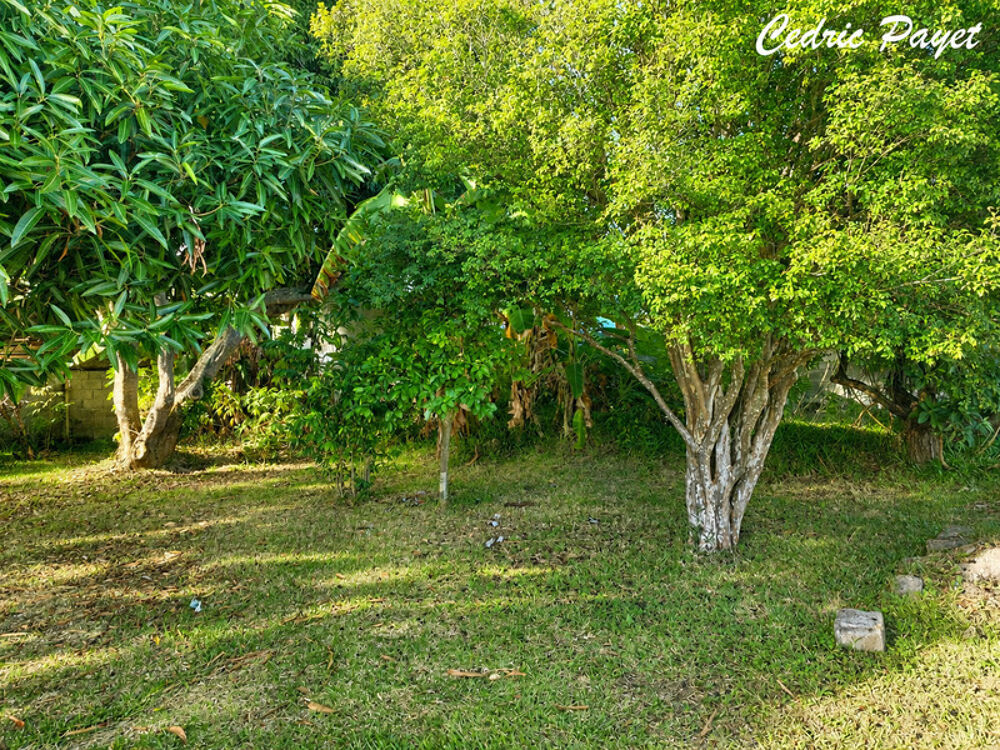 Vente Terrain Terrain à vendre de 469,00 m² LA RIVIERE (974) La riviere