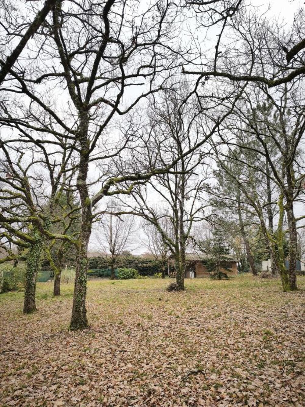 Vente Terrain VENDS TERRAIN CONSTRUCTIBLE DE 901 M2 A BOULOC Bouloc