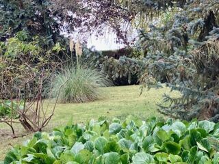  Propri�t�/ch�teau � vendre 6 pi�ces 106 m�