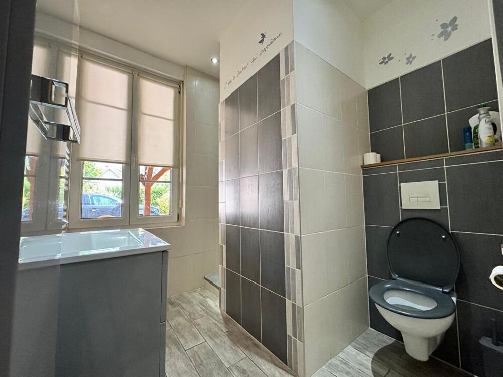 Vente Maison Maison Theillay 10 pièce(s) 220 m2 Theillay