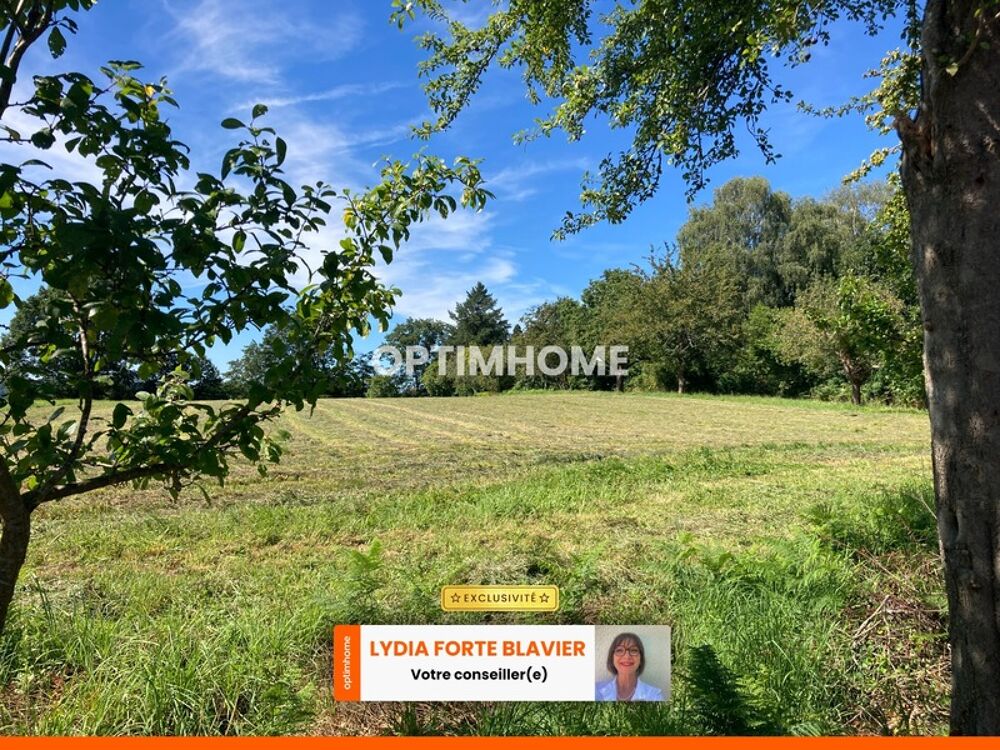 Vente Terrain TERRAIN PLAT CONSTRUCTIBLE A SAINT LEONARD DE NOBLAT Saint leonard de noblat