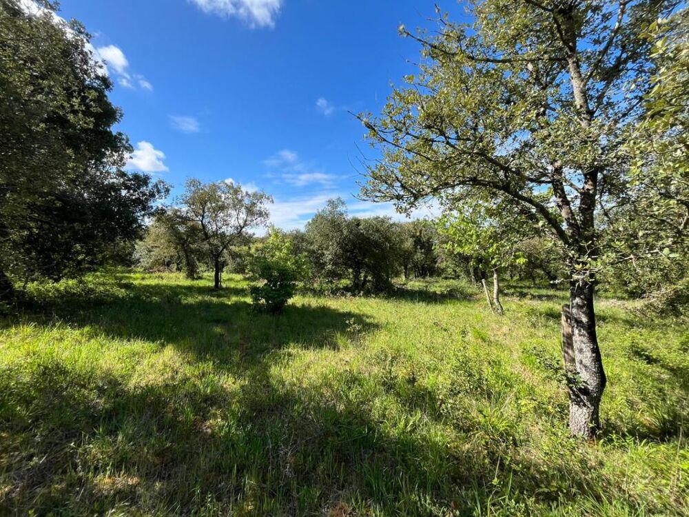 Vente Terrain Terrain Saint thomas de conac