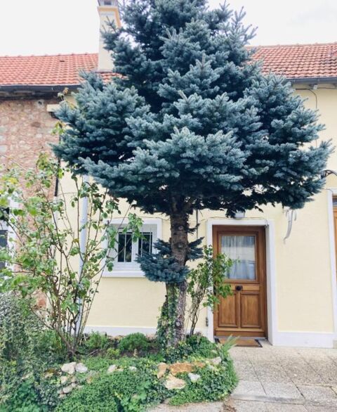  Maison � louer 2 pi�ces 42 m�