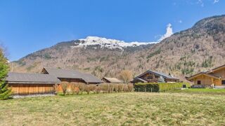  Terrain à vendre 705 m²