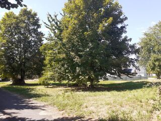  Terrain � vendre 1100 m�