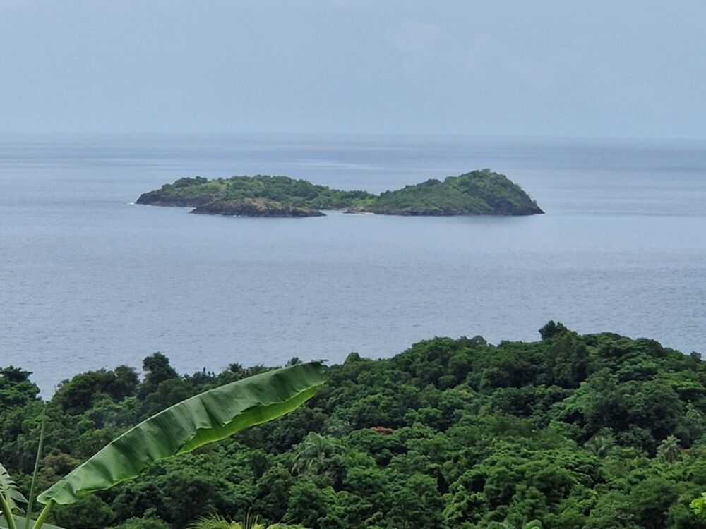 � vendre  Villa Bouillante (97125)