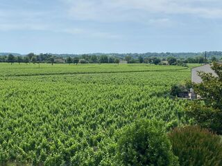  Propri�t�/ch�teau � vendre 6 pi�ces 280 m�