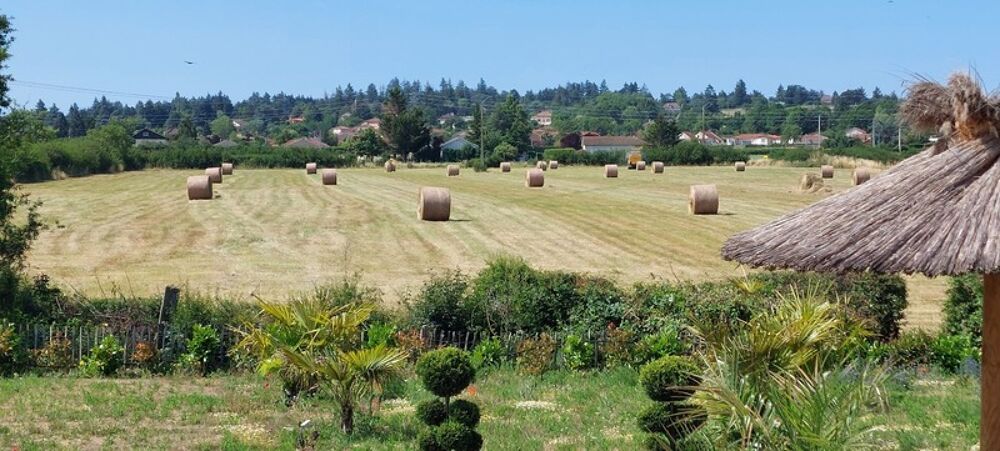 � vendre  Maison Villerest (42300)