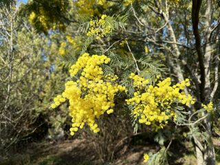  Terrain � vendre 556 m�