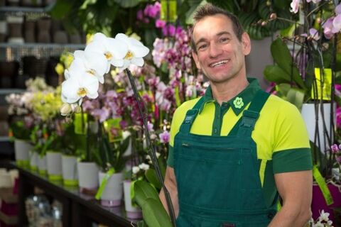   Fonds de commerce à vendre proche de TOULOUSE (31) - Cession d'une boutique de fleurs avec une activité  d'espace vert. EBE: 70 