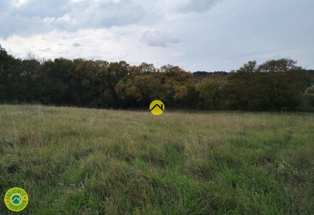 Vente Terrain AU CALME TERRAIN A BATIR Rogny les sept ecluses