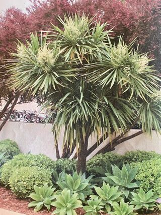  Maison 5 pices 124 m Sainte christie d armagnac