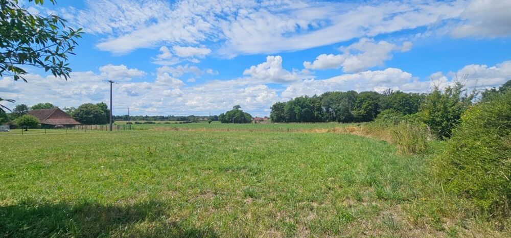 Vente Maison Maison au calme, en pleine campagne – 2 logements + dépendances – 5600 m² de terrain Pierre de bresse