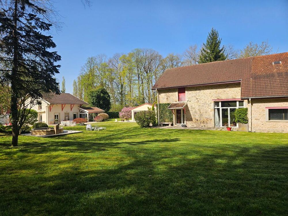 Vente Propriété/Château Magnifique propriété arborée au coeur d'Epinal Epinal