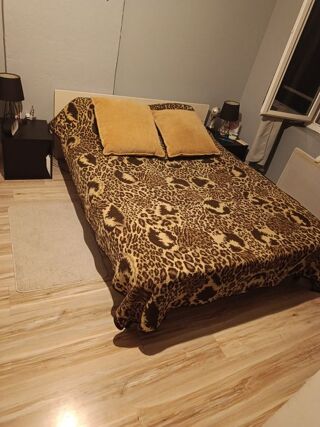  Appartement à louer 1 pièce 10 m²