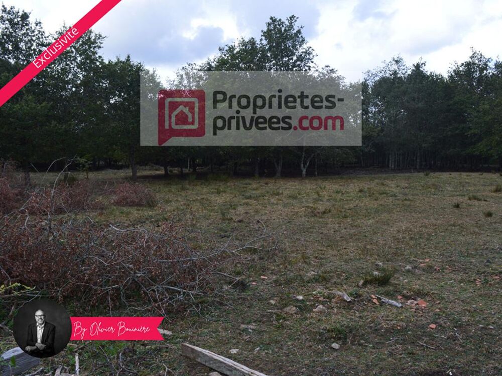 Vente Terrain Terrain boisé de 30 000 m² Sainte reine de bretagne
