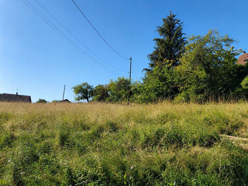 Vente Terrain Terrain Gillonnay 458 m2 Gillonnay