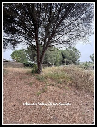  Terrain � vendre 1001 m�