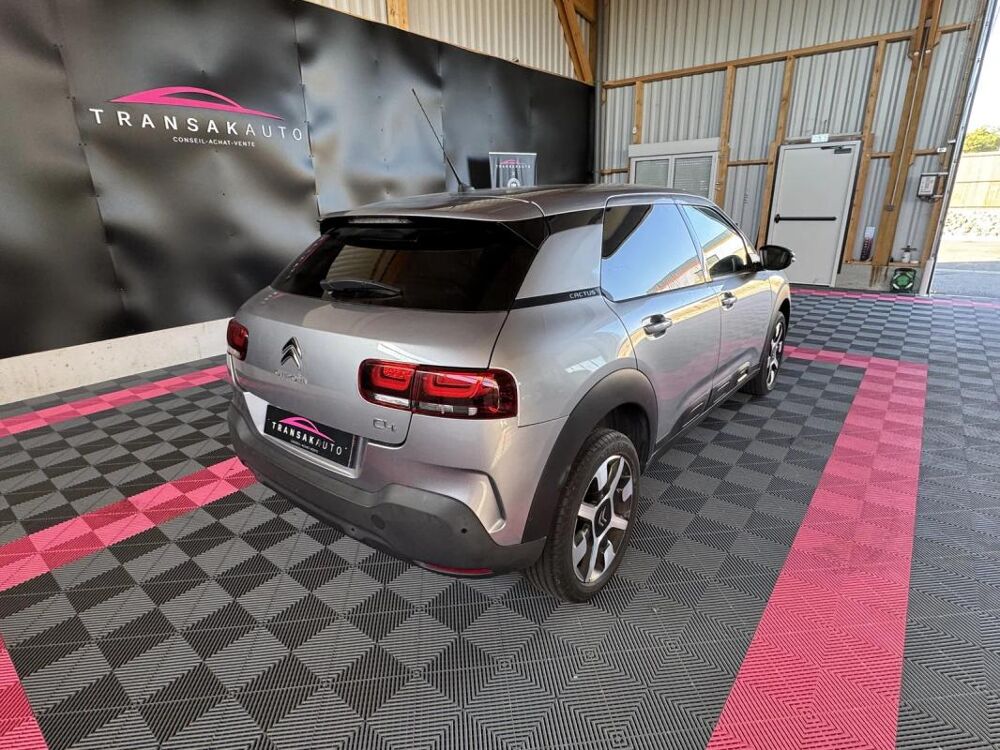 C4 cactus Shine 2019 occasion 56120 Les Forges De Lanouee