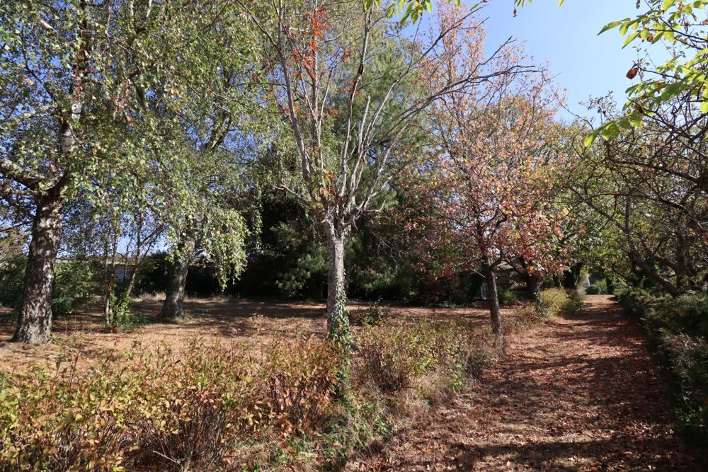 Vente Propriété/Château ENSEMBLE IMMOBILIER RARE AVEC MAISON, GÎTE ET 3 700 M² DE TERRAIN Fontanes