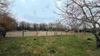  Maison � vendre 15 + pi�ces 600 m�