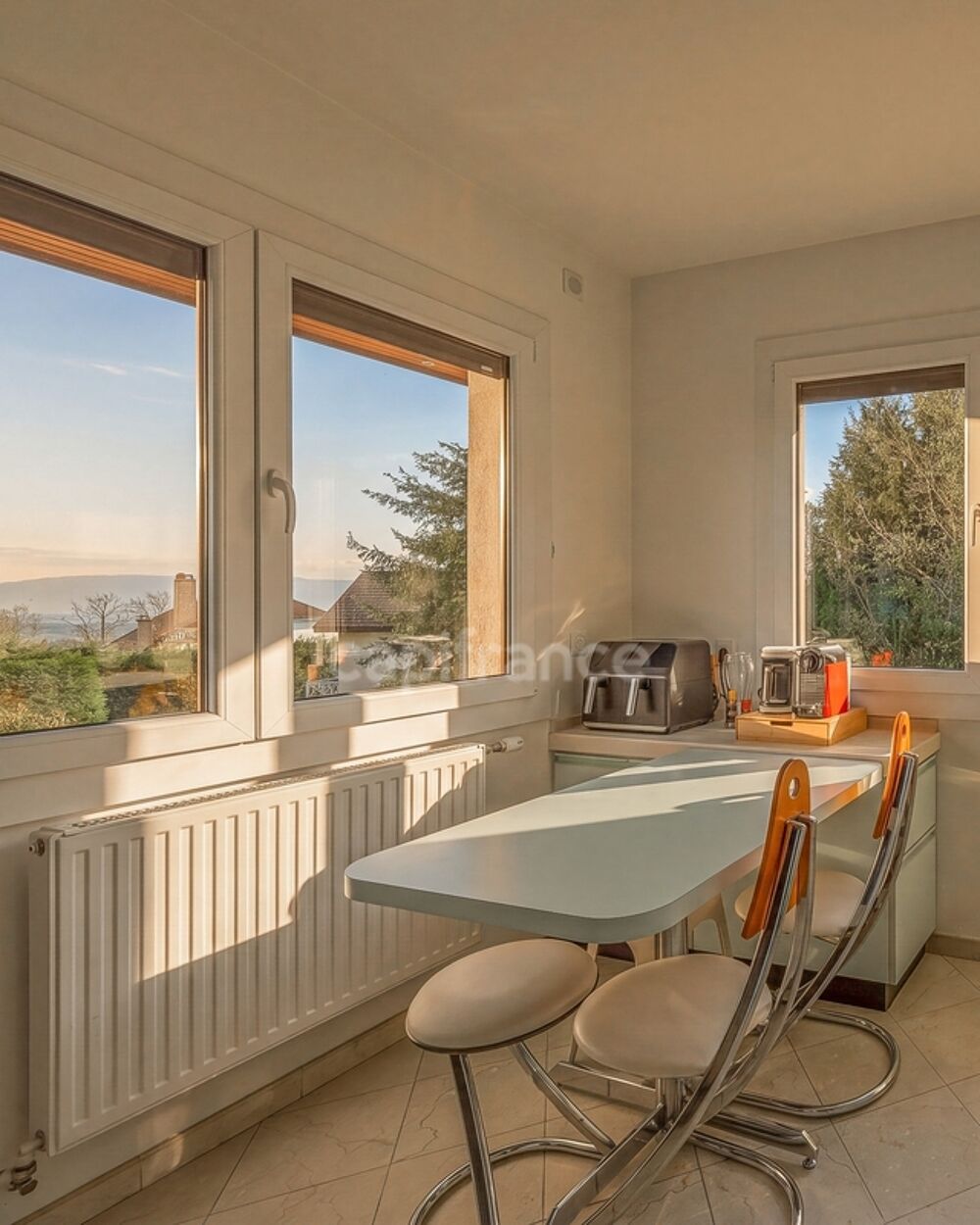 à vendre  Maison Gex (01170)